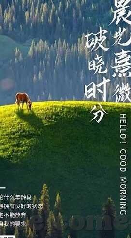 法国对丹麦 世界杯时间-法国与丹麦的绿茵对决，世界杯时间的激情碰撞