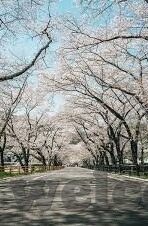 九游app下载版官网正版-如何安全、高效地获取九游app下载版官网正版的最新信息