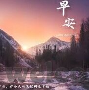 世界杯谁是赢家-世界杯谁是赢家，足球盛宴中的荣耀与梦想