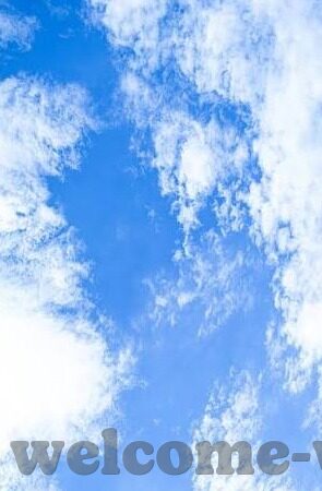 足球比分在-足球比分在，赛场风云的数字密码与情感纽带